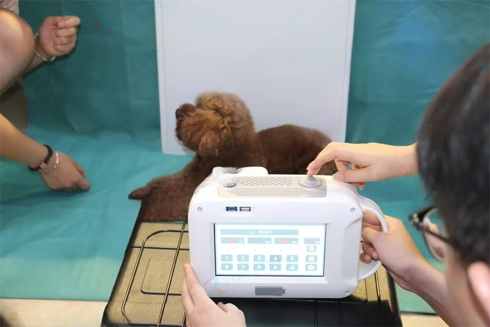 جهاز أشعة سينية بيطري، جهاز أش - مراجعة Veterinary X-Ray وسعره